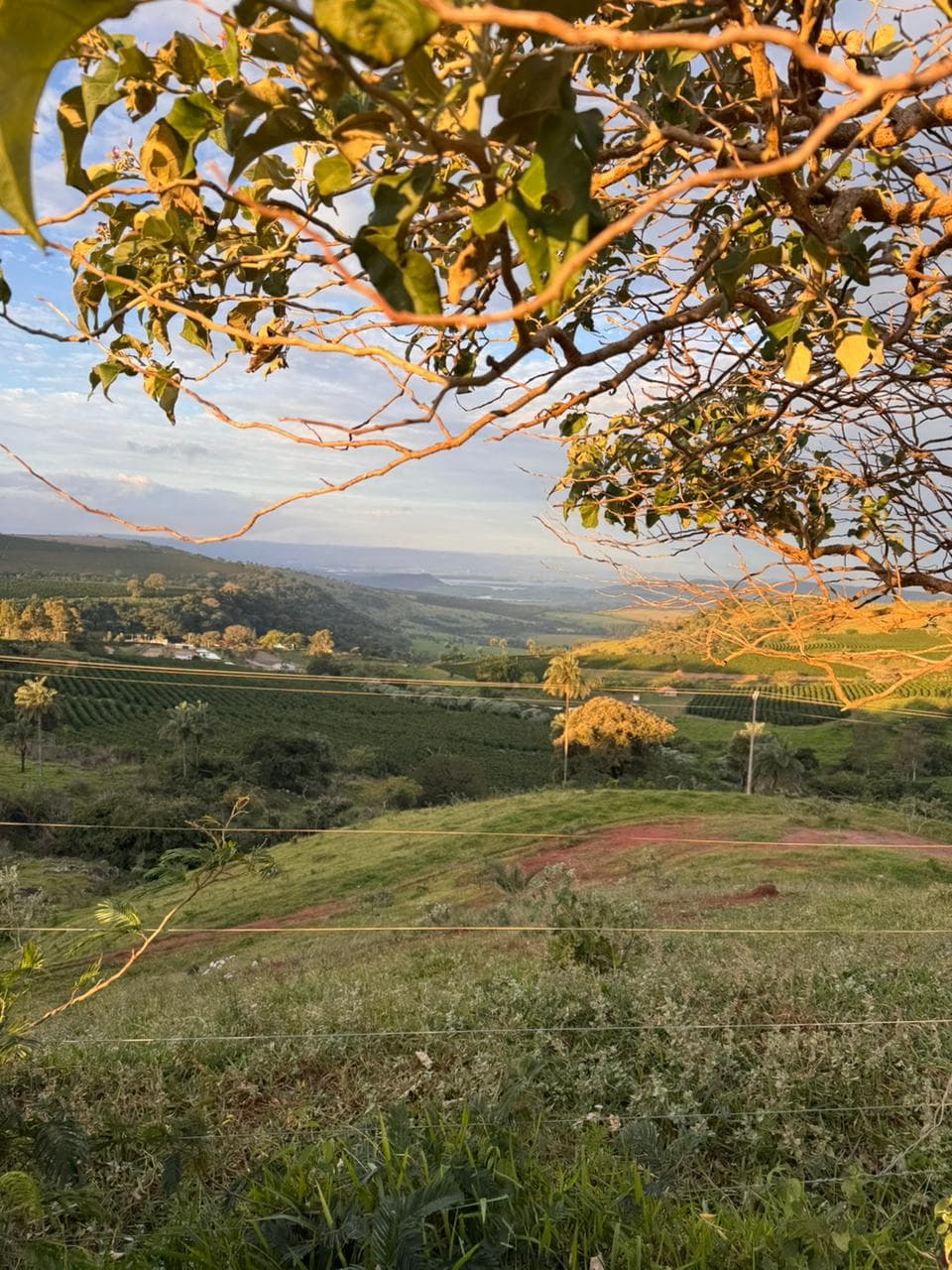 Foto da fazenda